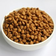 同城小猫，小虎斑猫粮